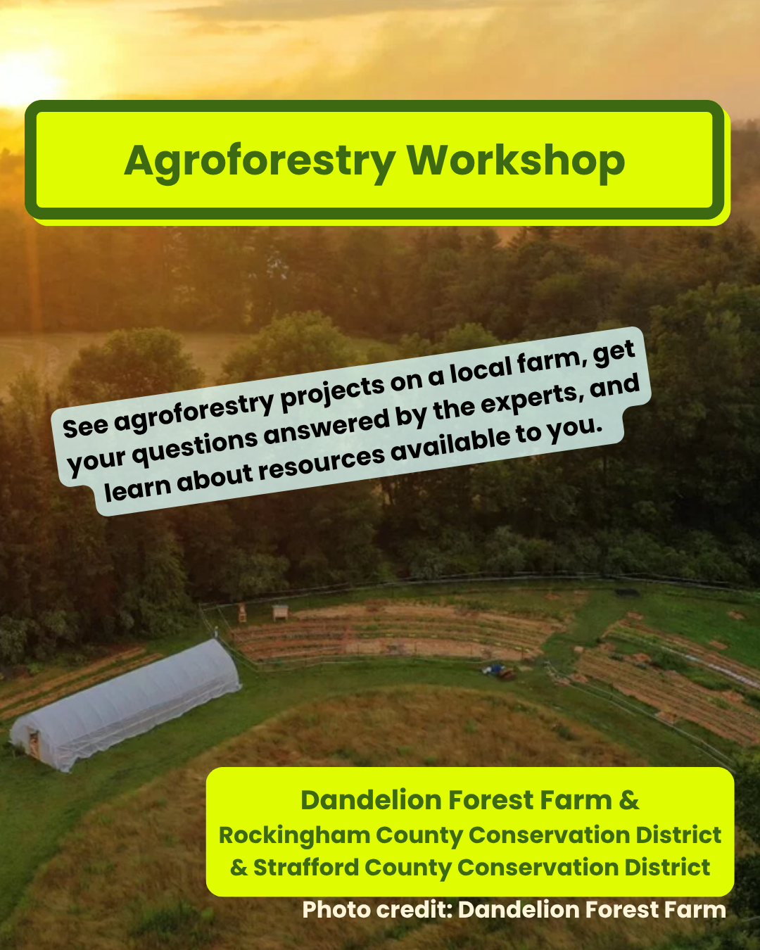 Agroforestry Workshop