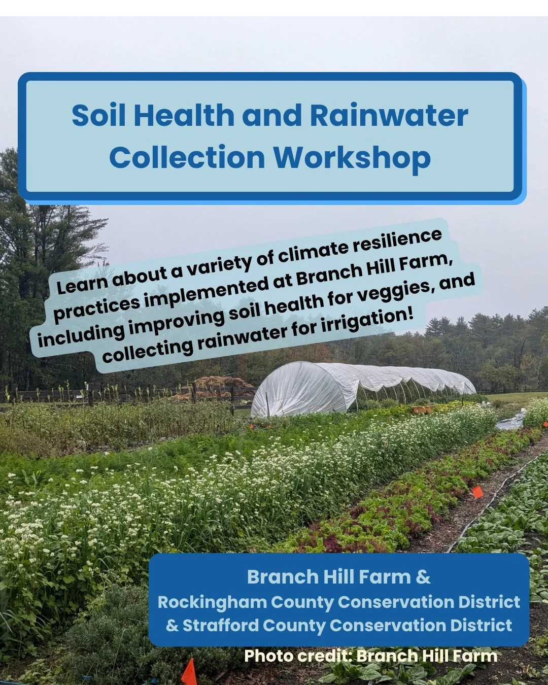 🌱 CLIMATE RESILIENCE WORKSHOP 🌱
Soil Health &amp; Rainwater Collection for Irrigation

📅 Tue, Oct 13 @ 4pm
📍 Branch Hill Farm, Milton Mills, NH
🆓 Free &mdash; open to all!

Hear how local farms are building climate resilience, get your questions