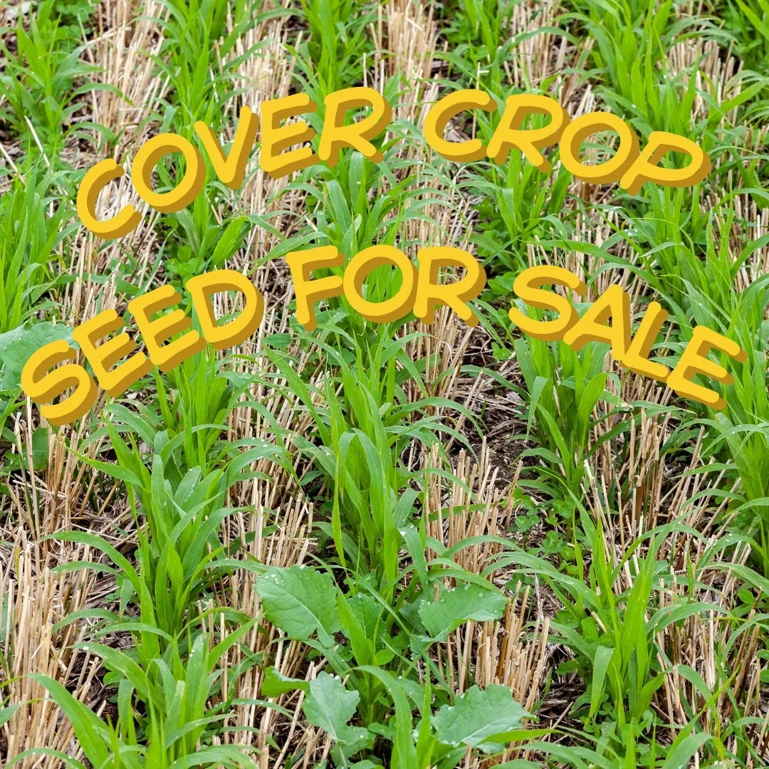 We sell cover crop seed mixes designed to improve soil health in NH - at wholesale prices. $40 per 50lb bag for our late season mix. Orders due this Friday! Link in bio