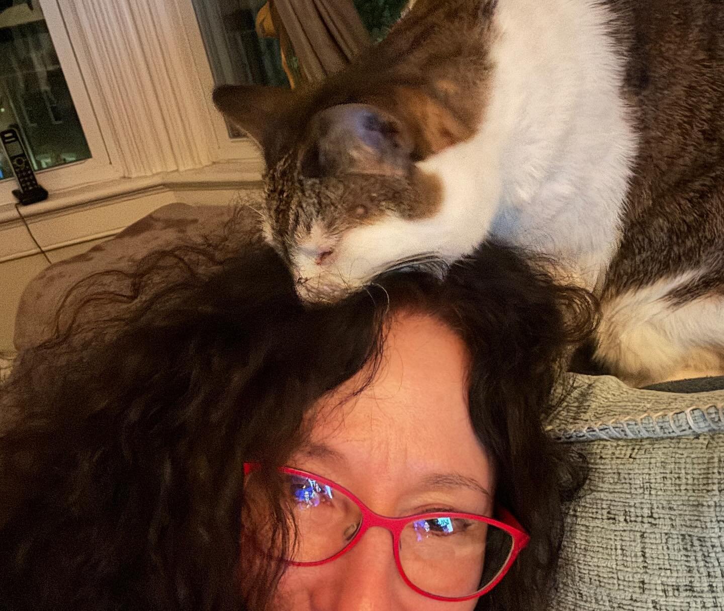 Nightly head bite before falling asleep at my shoulder on her special feather pillow. 🤣🐾😻

#routine #kittyantics #catastic #catmomlife #catwhisperer #catsarefamily