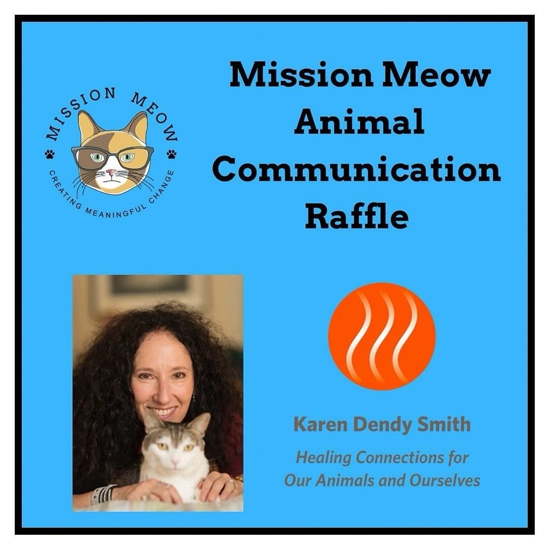 WILL YOU HELP ME TO HELP MISSION MEOW!!
You could win a private reading💫

LINK TO DONATE FOR A CHANCE TO WIN IN MY BIO 👆

🐾💕🐾💕🐾💕🐾💕🐾💕🐾💕🐾💕🐾

@Posted @withregram &bull; @missionmeow Mission Meow May Raffle!!!!

We are super excited to s