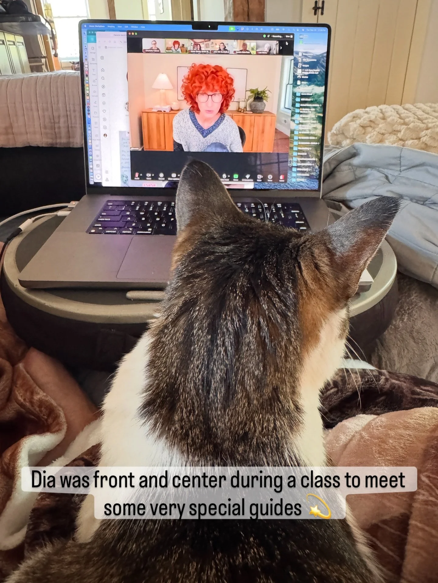 Today I had a special class with the amazing @daniellemackinnon1 💫💜

She guided us through a meditation to meet some very powerful guides. And Dia was front and center too! 

My magical girl 💗💫

#guides #archangelmichael #dolphindaeva #magical #q
