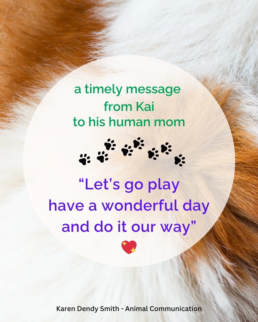 A fun and timely message! I just finished a reading and Kai's mom agreed I could share this with everyone... 

So timely, she has been going through some big changes and Kai reminded to her to take a moment, take a breath and have some some fun witho