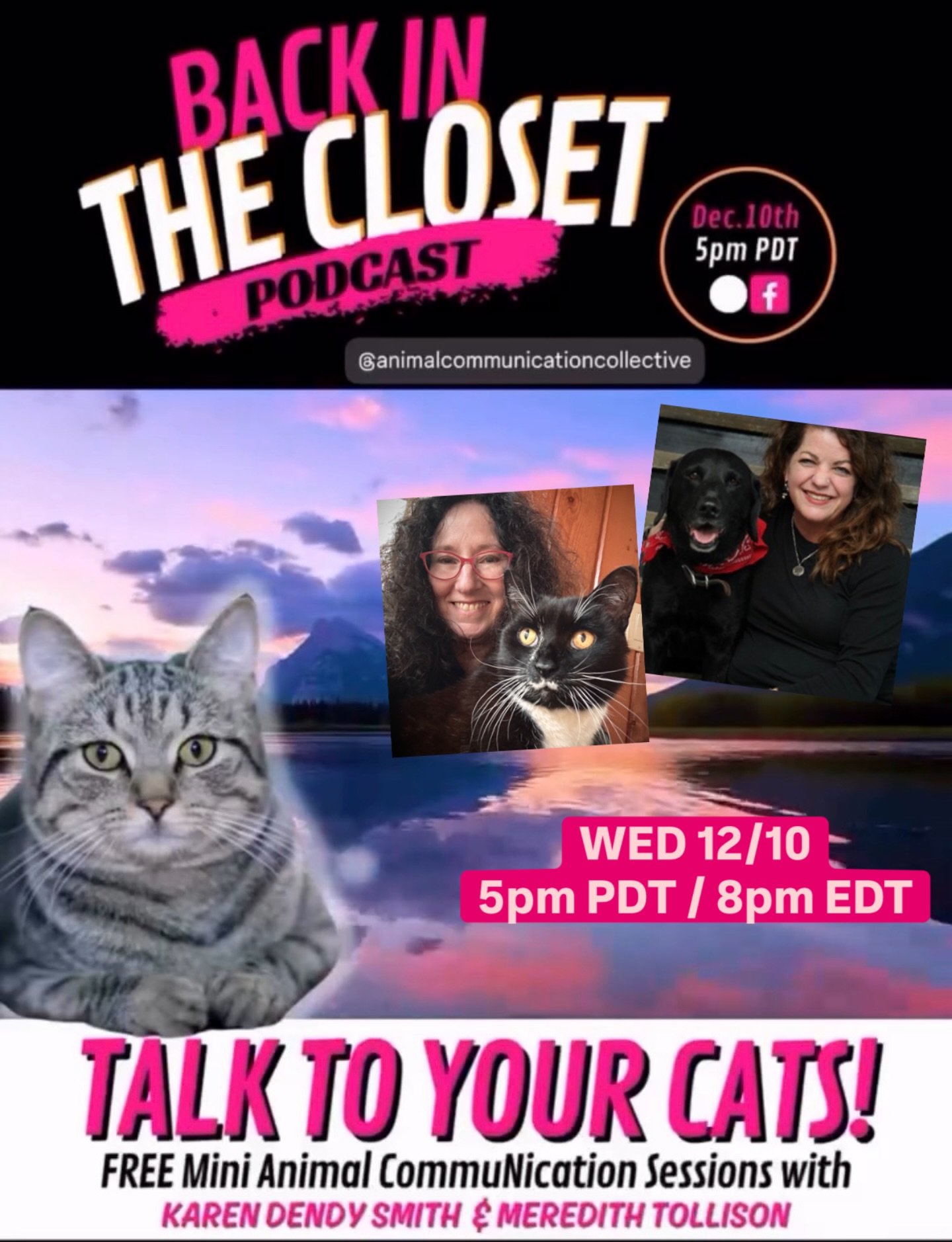 We&rsquo;re baaaaackkk!!! On @thetwocrazycatladies podcast! @karendendysmith_intuitive and @meredithtollison 

Watch on their YouTube or Facebook channel.
Link to Show in my bio ☝️

We&rsquo;re doing live readings from your questions in the chat so g