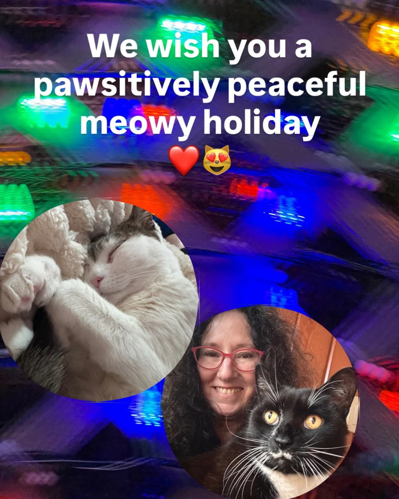 Dia, Noche and I wish you a pawsitively peaceful and Meowtastic holiday. 😻🌟❄️🐾🙏