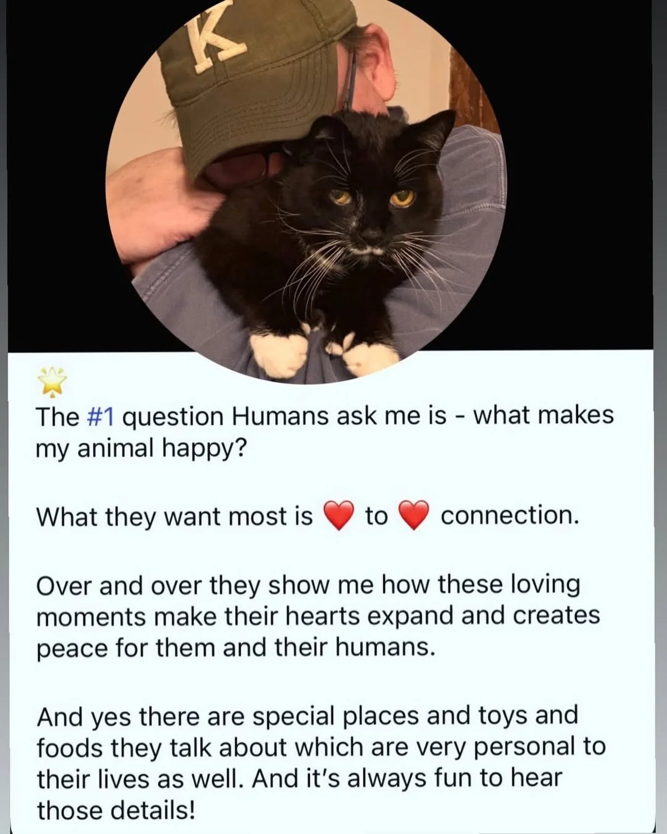 I captured this beautiful moment between Noche and his Meowdy 😻 and Noche&rsquo;s purring was so loud, and he was so relaxed sitting in Meowdy&rsquo;s arms.

⭐️ the number one question that humans ask me is &ndash; &ldquo; what can I do to make my a