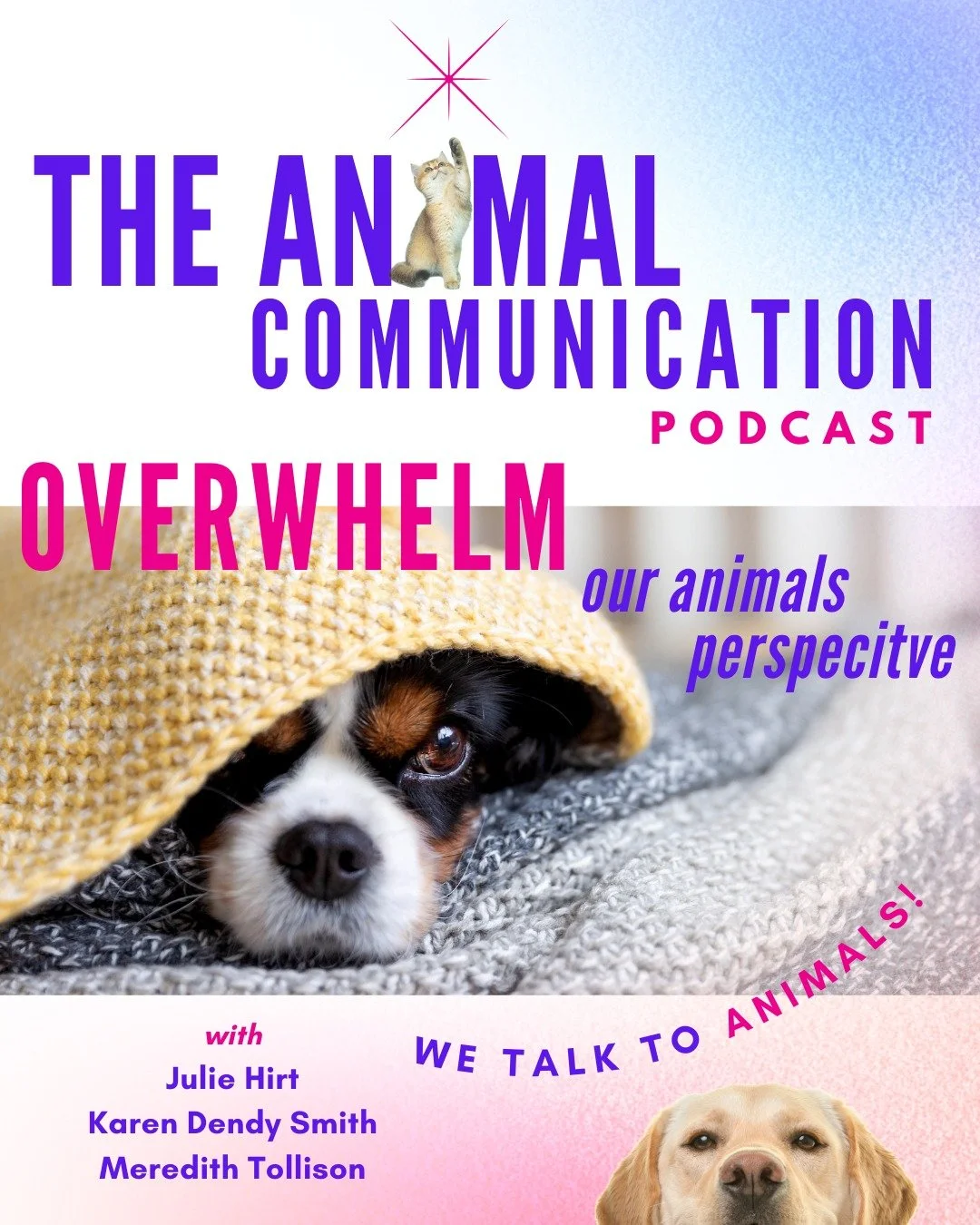 🐾💖 NEW EPISODE: Overwhelm and our animals perspective 💖🐾

This week your hosts - @karendendysmith_intuitive @meredithtollison and @juliehirt_intuitive - explore the lived experience of overwhelm and how our animals respond when life feels like to