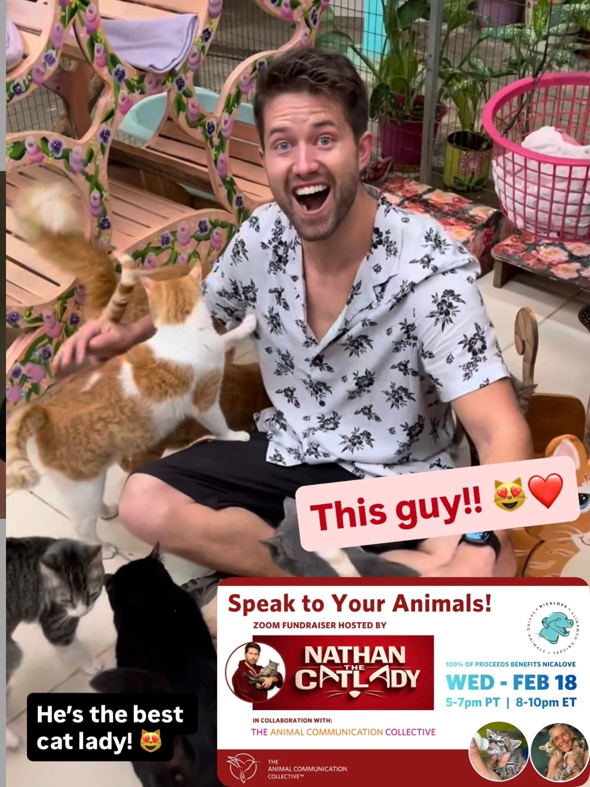 You have to meet @nathanthecatlady! 

He&rsquo;s joining forces with @animalcommunicationcollective to help us raise funds for @nicalove140 

Join me and my colleagues from The Animal Communication Collective for a powerful two-hour live ZOOM fundrai