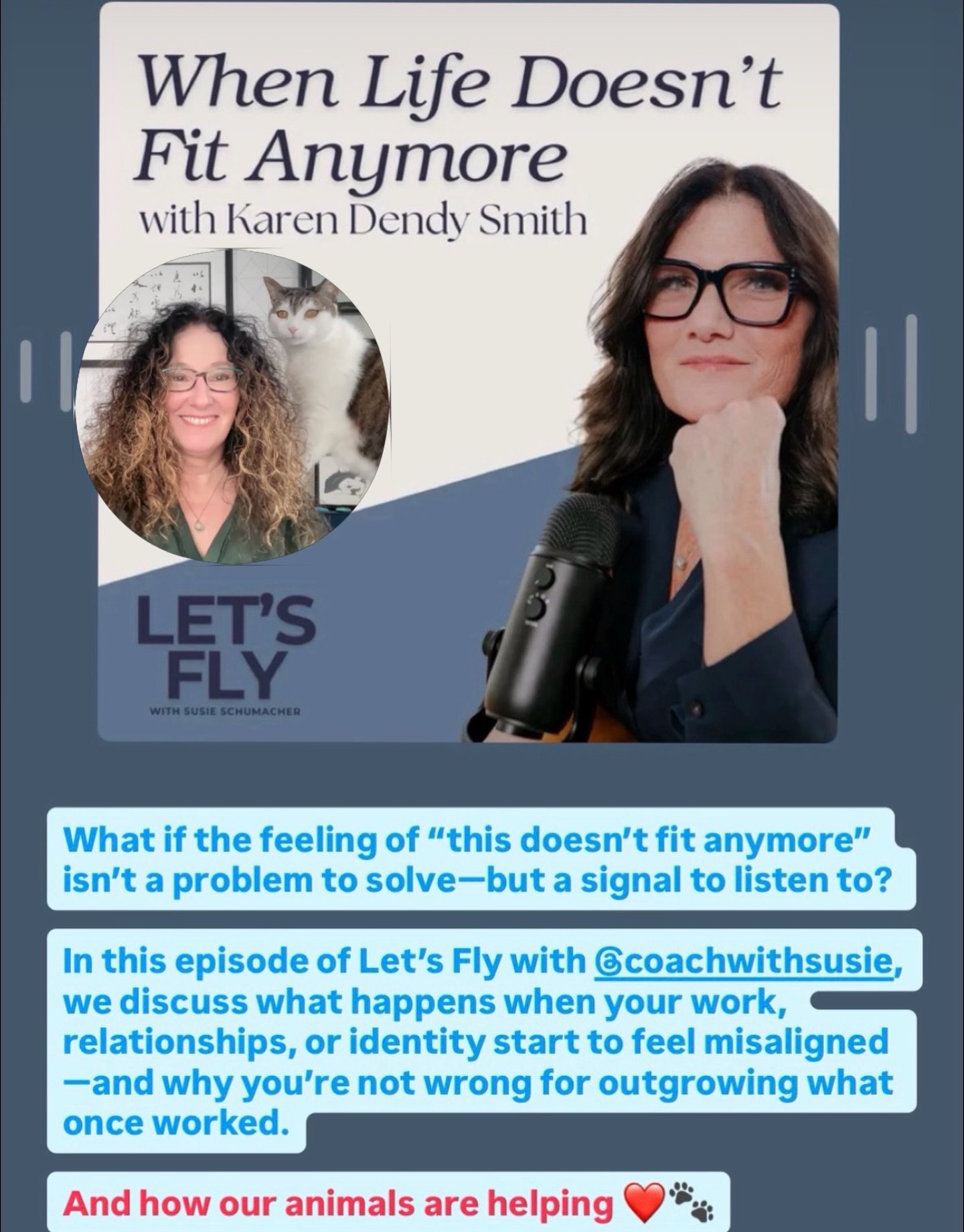 CHECK OUT MY INTERVIEW with @coachwithsusie on her podcast Let&rsquo;s Fly!

🎧⬆️ Link to list on bio and find it on 
Apple and Spotify 

⭐️ What if the feeling of &ldquo;this doesn&rsquo;t fit anymore&rdquo; isn&rsquo;t a problem to solve&mdash;but 