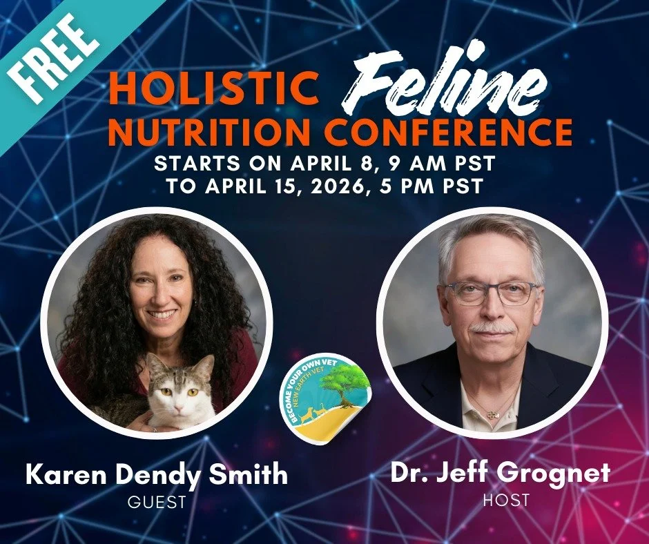 🐱✨ Ready to nourish your cat the right way? 

Join me at the Holistic Feline Nutrition Conference, hosted by veterinarian Dr. Jeff Grognet!

🎟️ Grab your complimentary ticket - 
LINK IN MY BIO 

✍️ or put FELINE in the comments and I'll 
DM you the