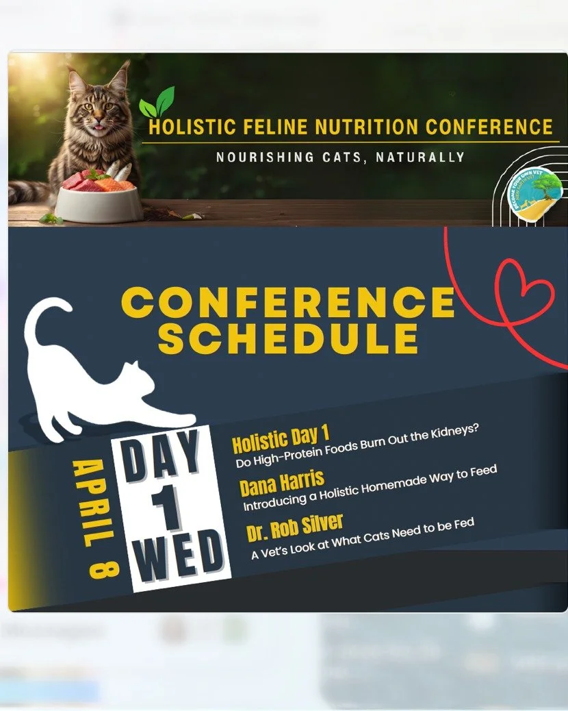 Ready to feed your cat for true wellness?
Join me at the Holistic Feline Nutrition Conference, hosted by veterinarian Dr. Jeff Grognet! 🌿

For 8 days starting April 8, you&rsquo;ll hear from top experts (including me!) on everything from fresh food 