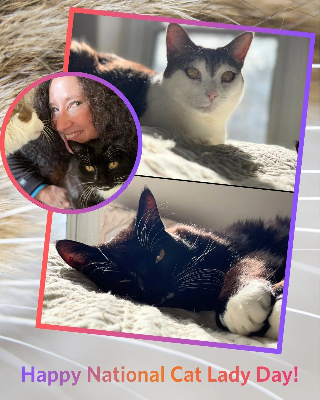 Happy National Cat Lady Day!

Purrroud Cat Mom and Guardian 😻

To all my cat family alive and in spirit
💜🌈 
I am grateful for your teachings:
🐾 waking me up to see who you are
🐾 layered emotions
🐾 gentle and not so gentle lessons
🐾 helping me 