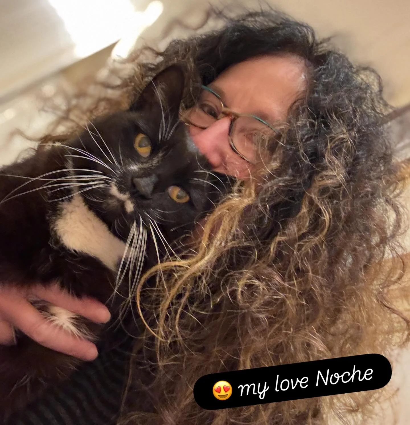 Noche has the most gentle heart. He&rsquo;s a very emotional cat and shows up to give comfort and hugs. He loves paw massages too! 

He&rsquo;s very clear about his needs as well and he&rsquo;s a great teacher - responding to others emotions and aski