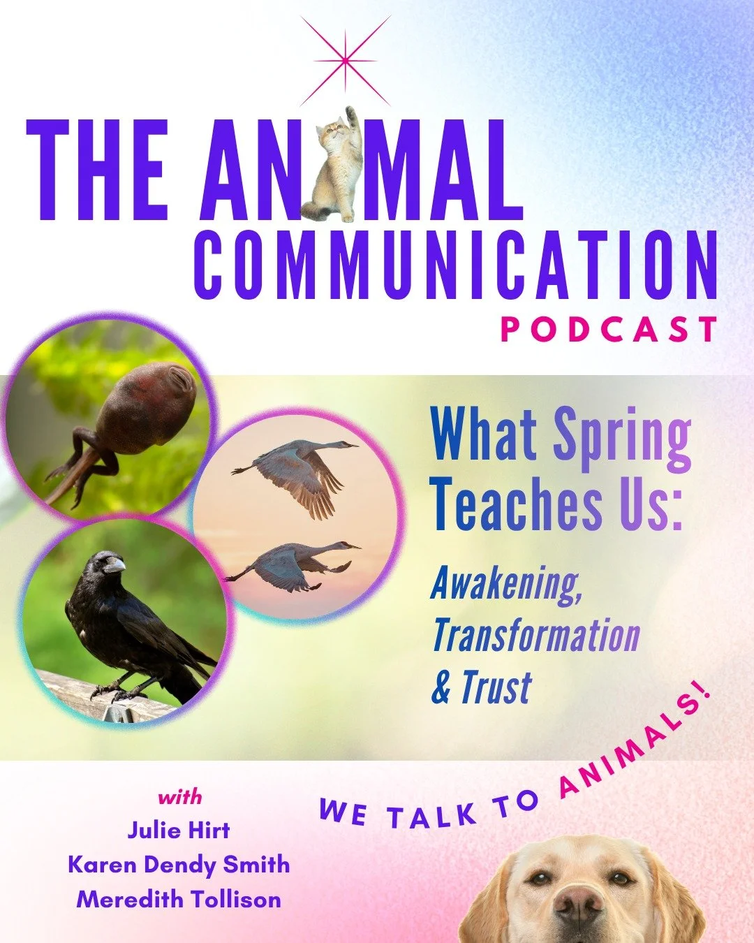 🌿💖 NEW EPISODE - What Spring Teaches Us: Awakening, Transformation &amp; Trust

Spring is far more than a change in season. It's an invitation to awaken, transform, and trust the process, even when a late frost takes the wind right out of your sail