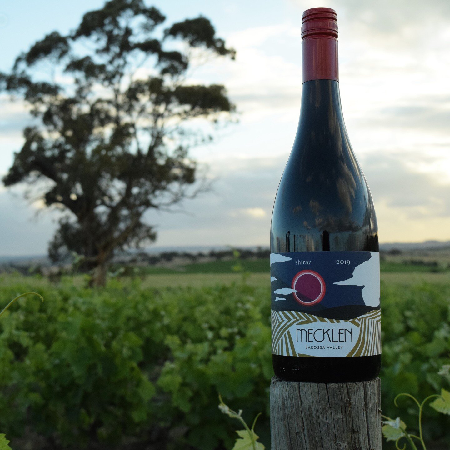 Mecklen Shiraz 2019. Made from grapes gown in our Family vineyard, situated in the Gomersal sub-region of the Barossa Valley

Ripe plum and blackberry fruit aromatics, with plenty of dark fruit, toasty oak, finishing with soft ripe tannins on the pal