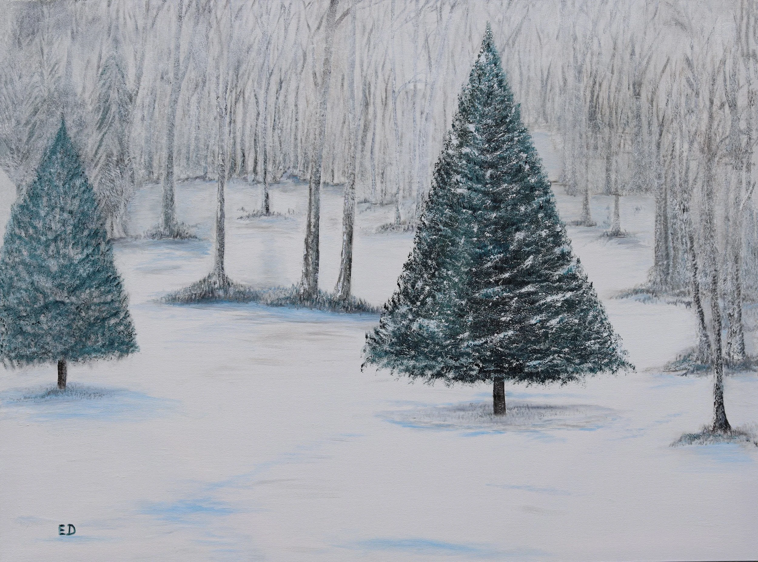 Woodland Evergreens 48x36 $450
