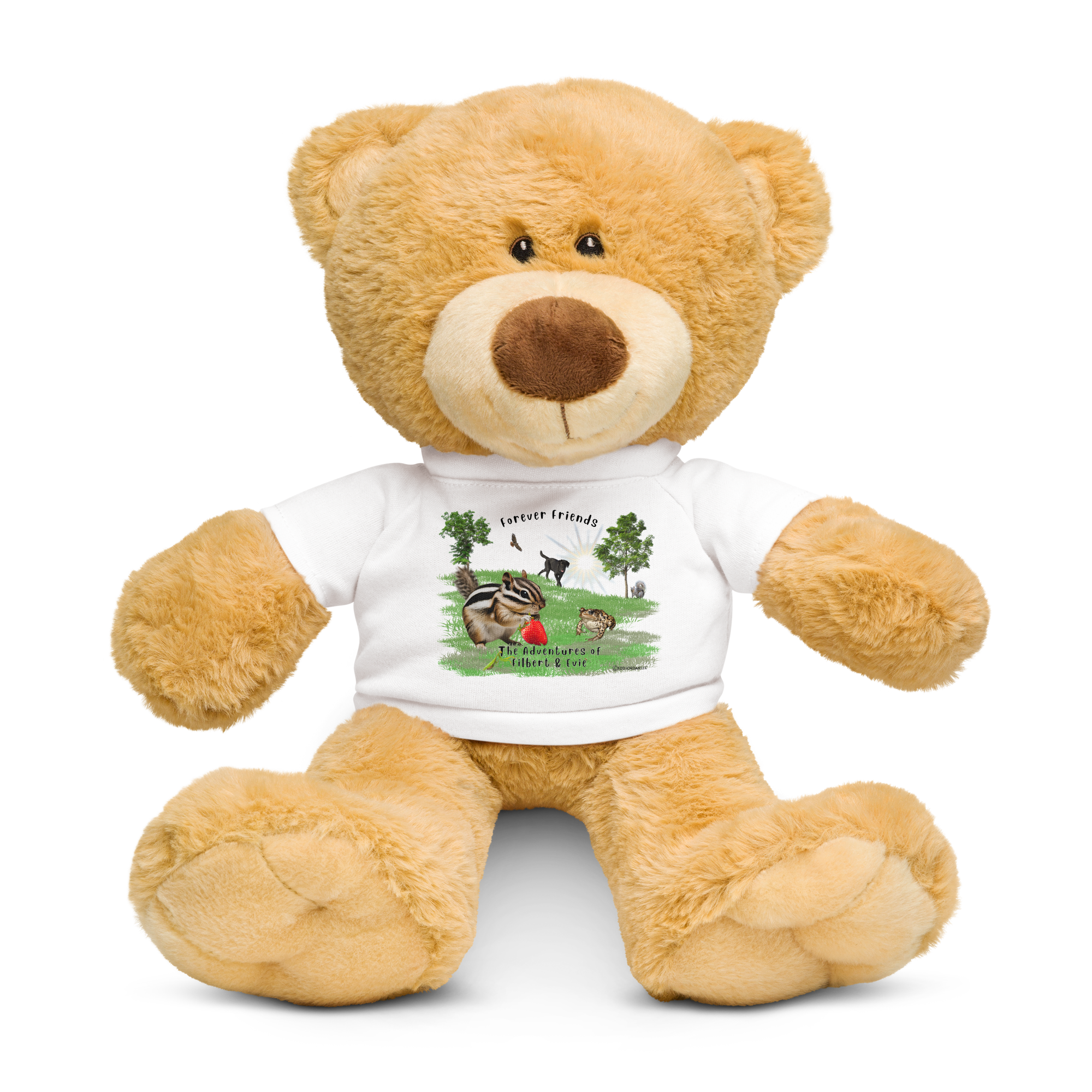 teddy-bear-with-a-t-shirt-white-front-688d2195de443.png