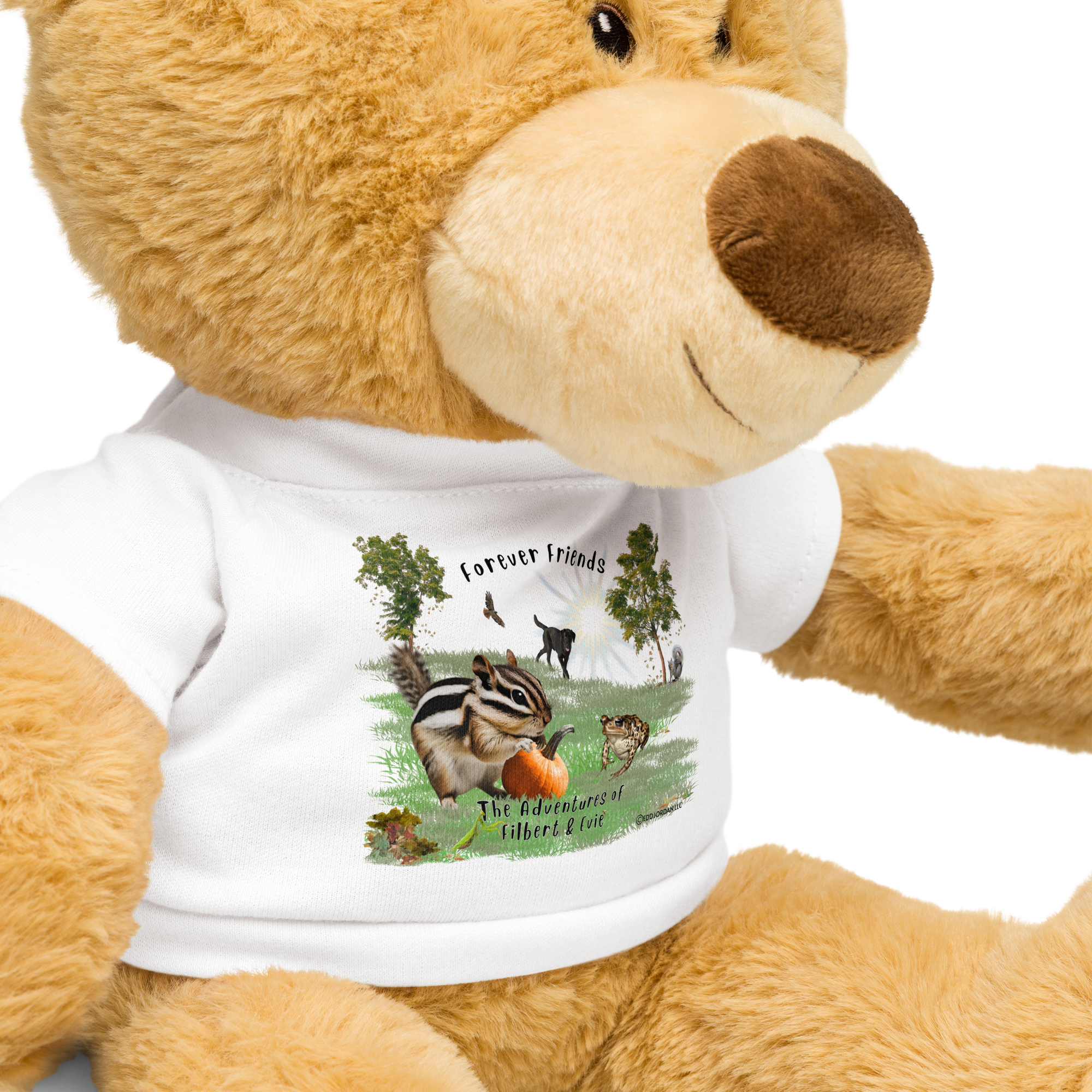 teddy-bear-with-a-t-shirt-white-product-details-689108a6aa551.png