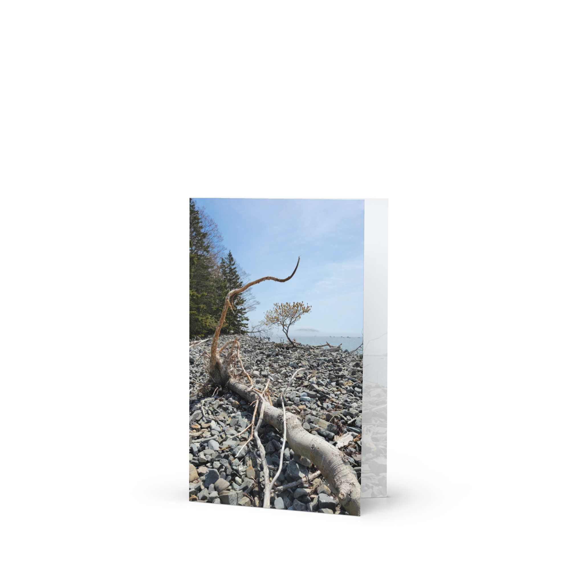 RDRY Bar Harbor Bar Island Greeting Card