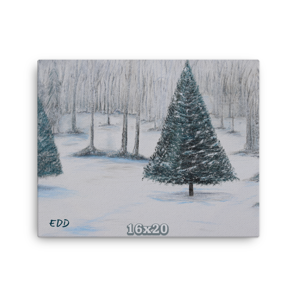 thin-canvas-(in)-16x20-front-68b44ca440eb0.png