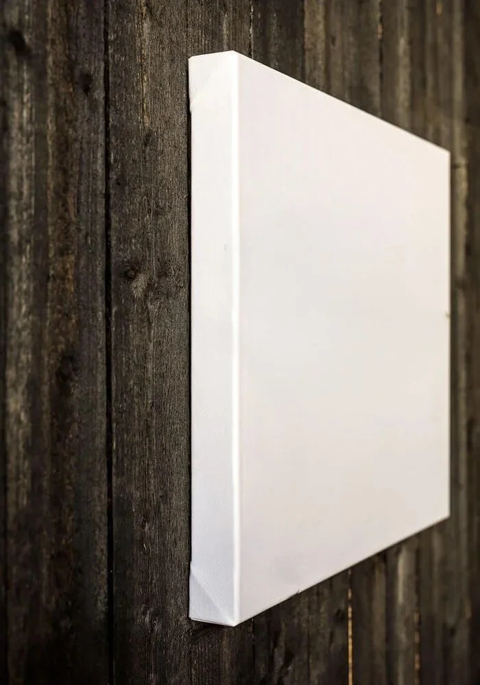 1.25 blank canvas.jpg