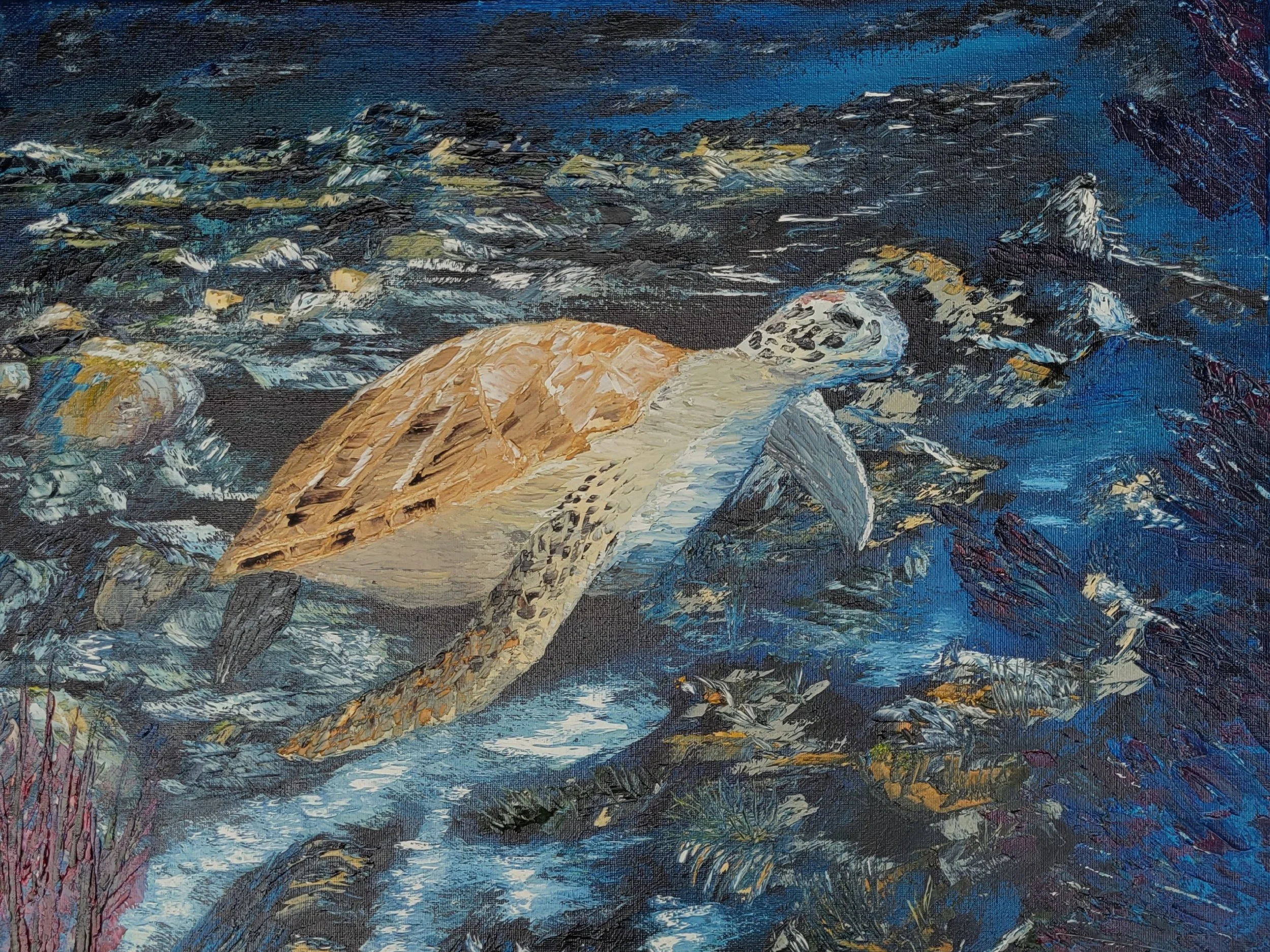 Turtle Glide 20x16 $300.
---
Prints Available at rdry.store