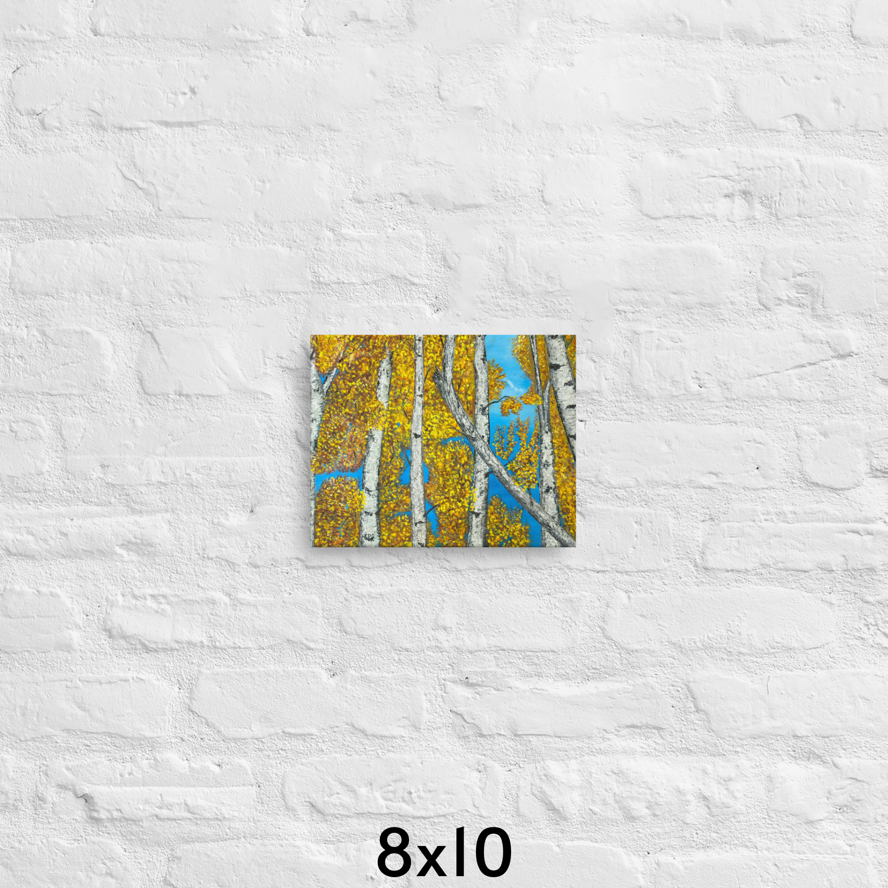 AB 8x10.png