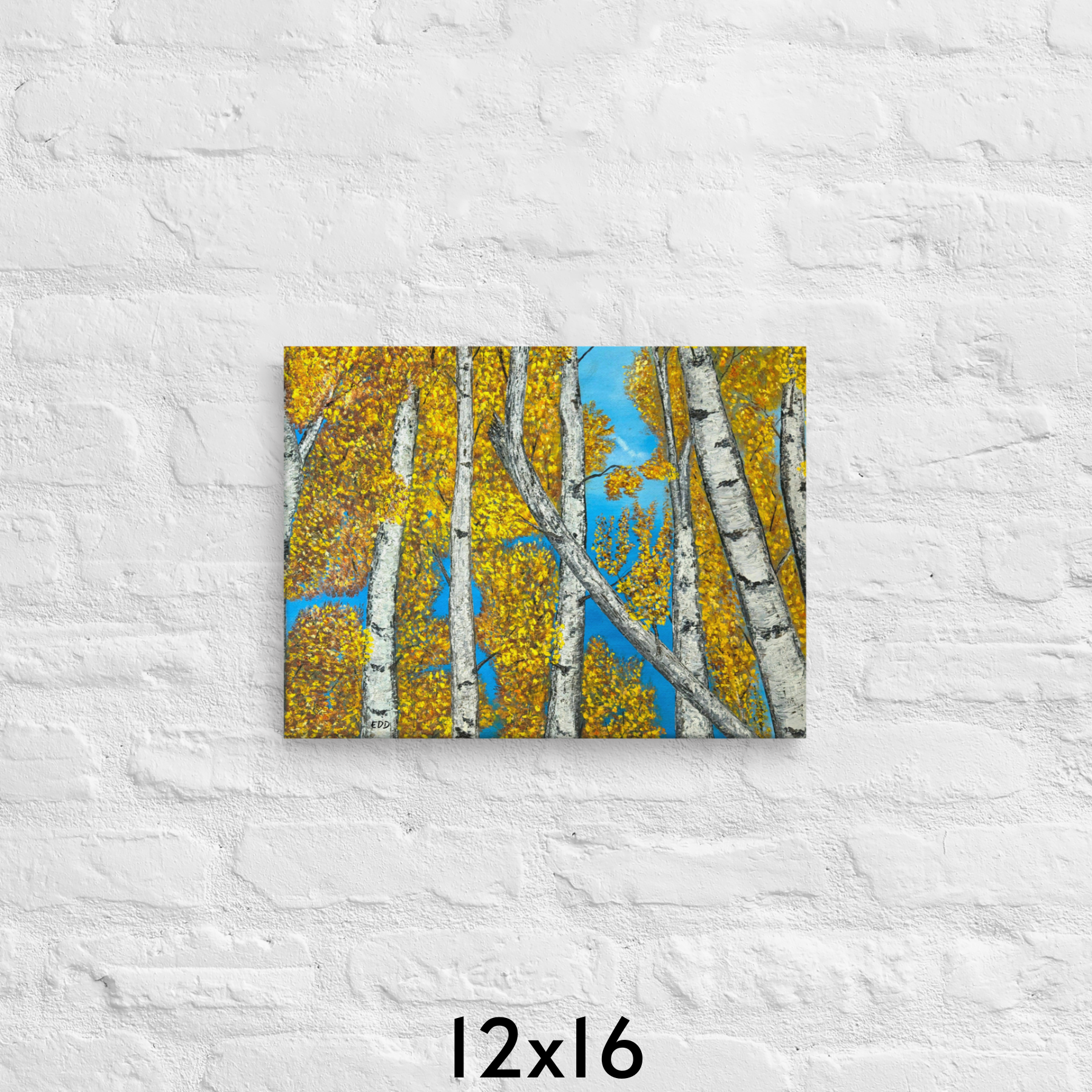 AB 12x16.png