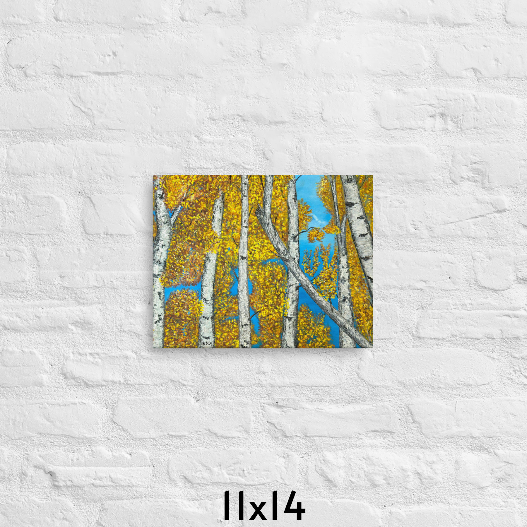AB 11x14.png