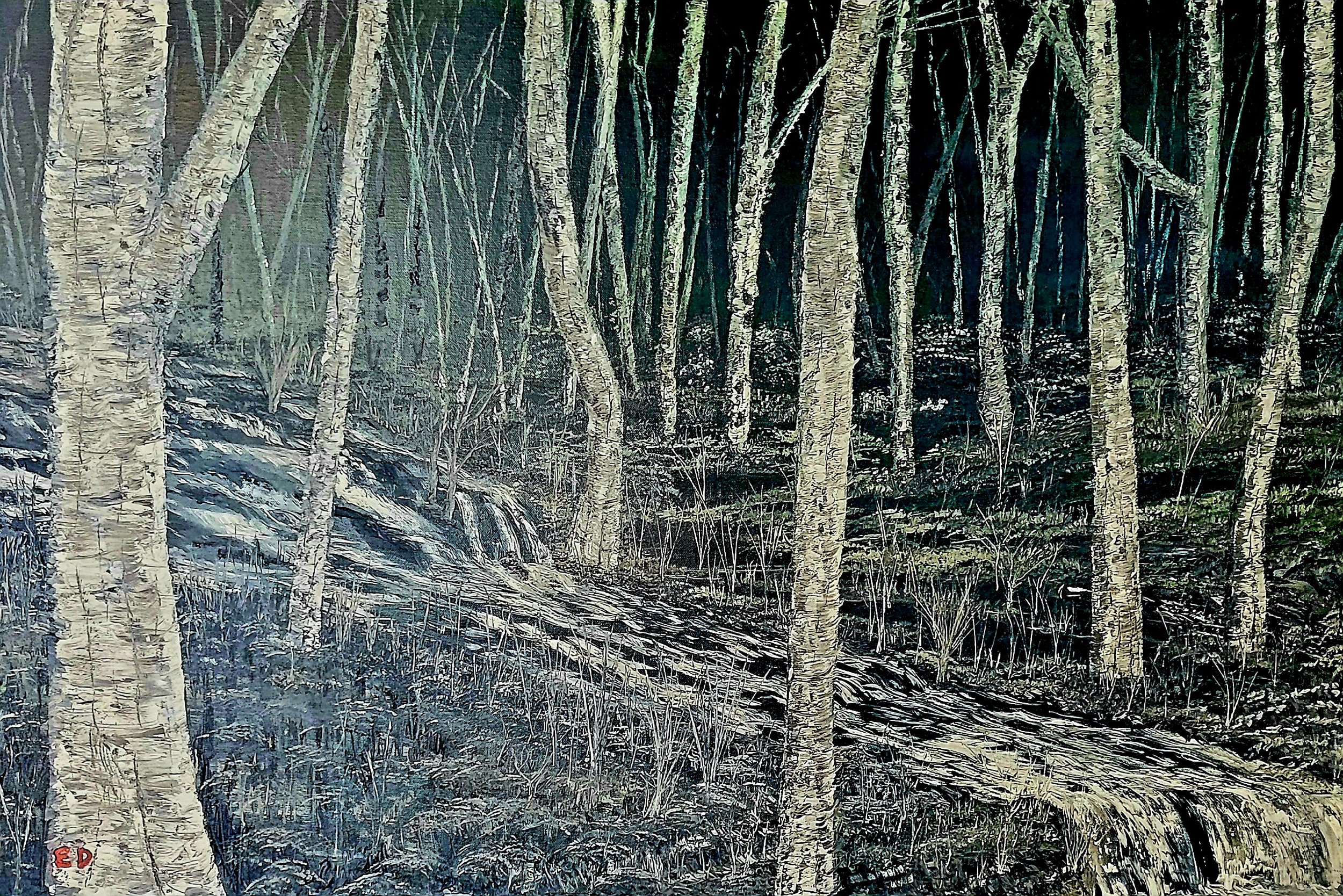 Dark Woods 24x28 oil on canvas NFS
---
This art piece is available as an affordable canvas print from RDRY.store. Fade-resistant prints stretched on sturdy frames for vivid color and crisp detail. Multiple sizes, gallery-wrapped edges, and easy-hang 