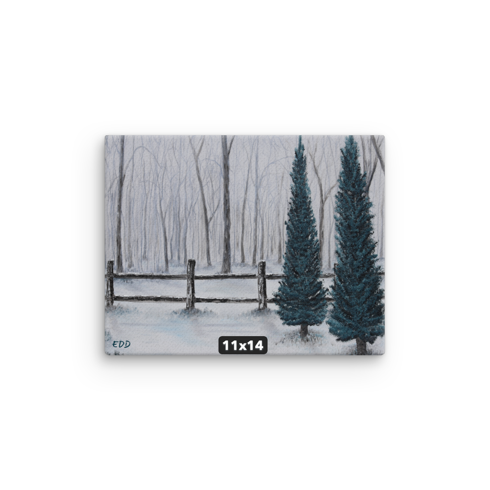thin-canvas-(in)-11x14-front-68b306fe0d81c.png