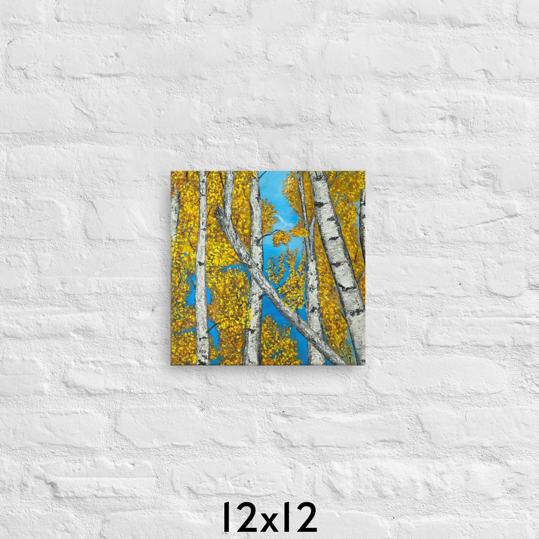 AB 12x12.png
