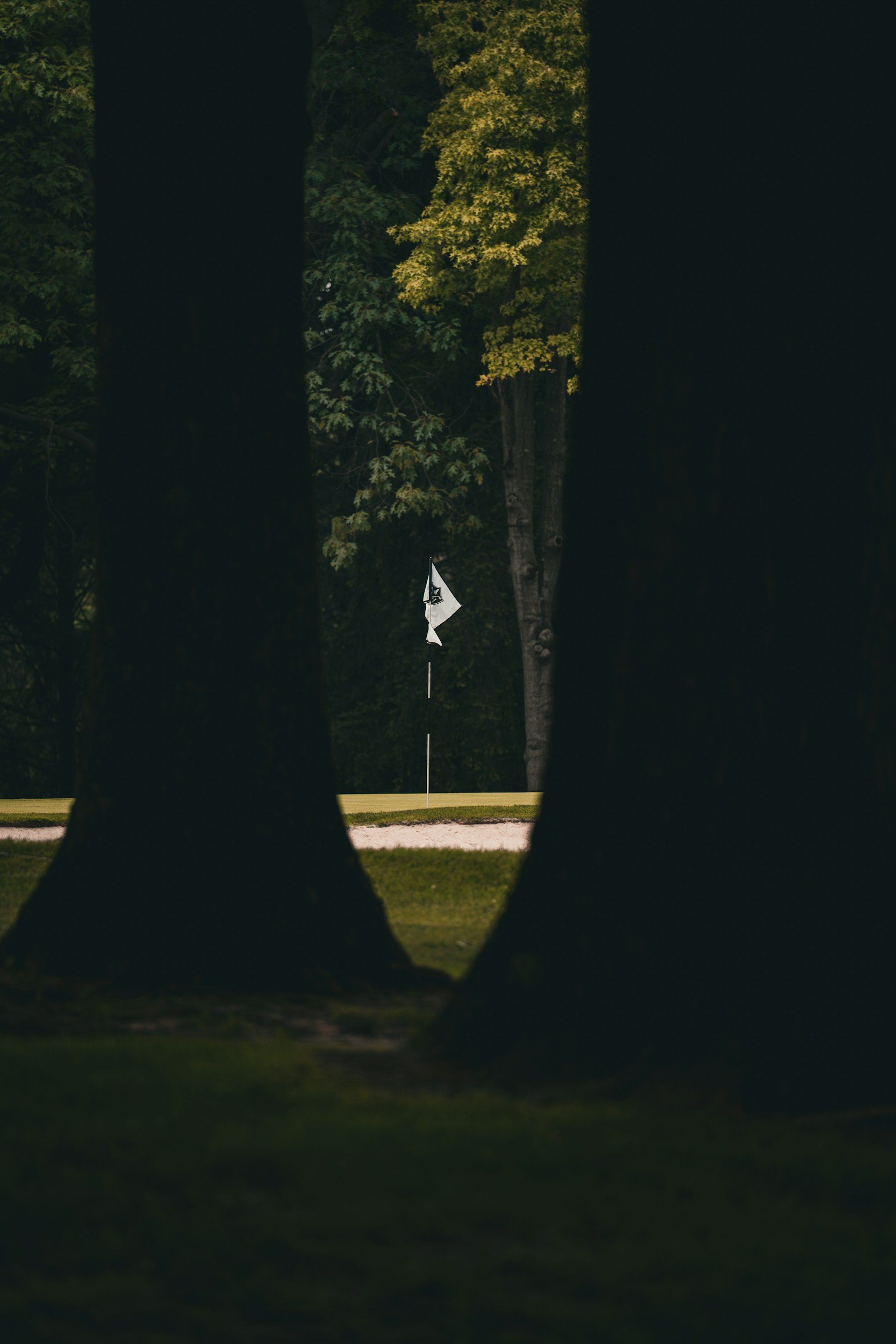 What Is a Fulfilling Life?