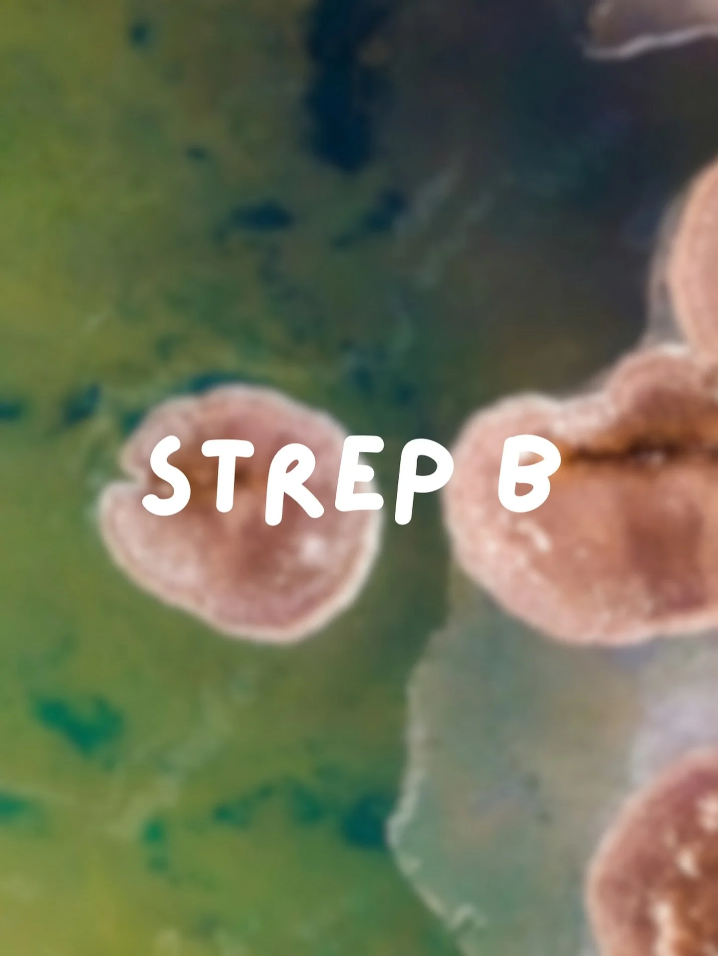 group b strep (gbs) is one of those bacteria that often flies under the radar, quietly living in the gut and genital tract without much fuss, until it starts tipping the balance. when the protective lactobacilli are low (after antibiotics, stress, or