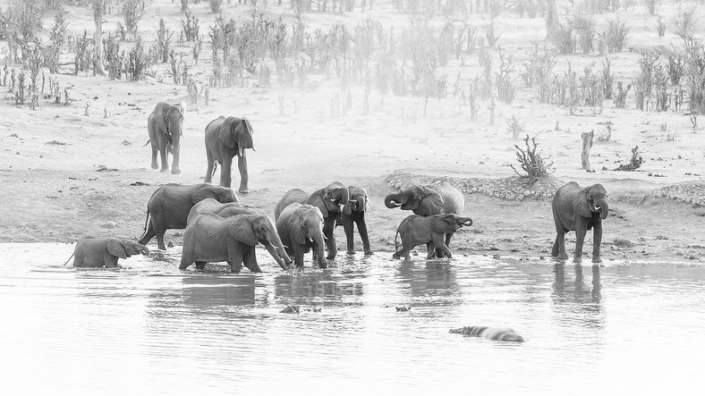It&rsquo;s African World Heritage Day today. A continent I have been lucky to visit on more than one occasion and, I&rsquo;m sure, will revisit before too long. 

#africanworldheritageday #worldheritage #africa #southsudan #ethiopia #zimbabwe #thegam