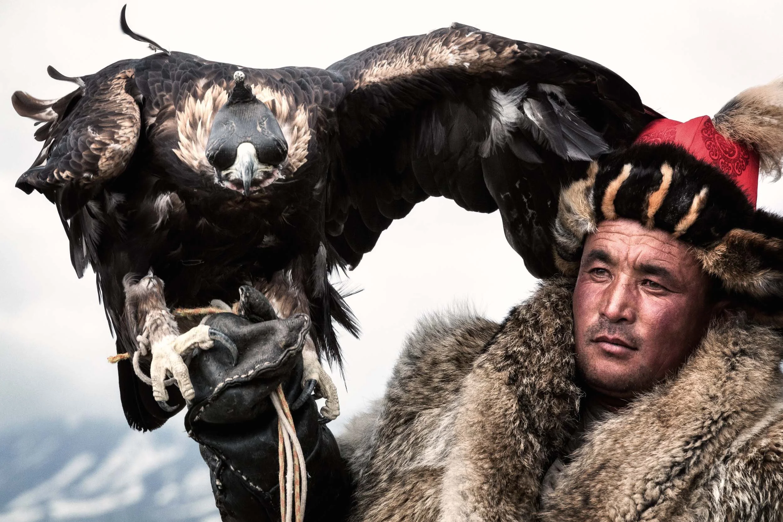 Eagle hunter with bird on arm, Mongolia