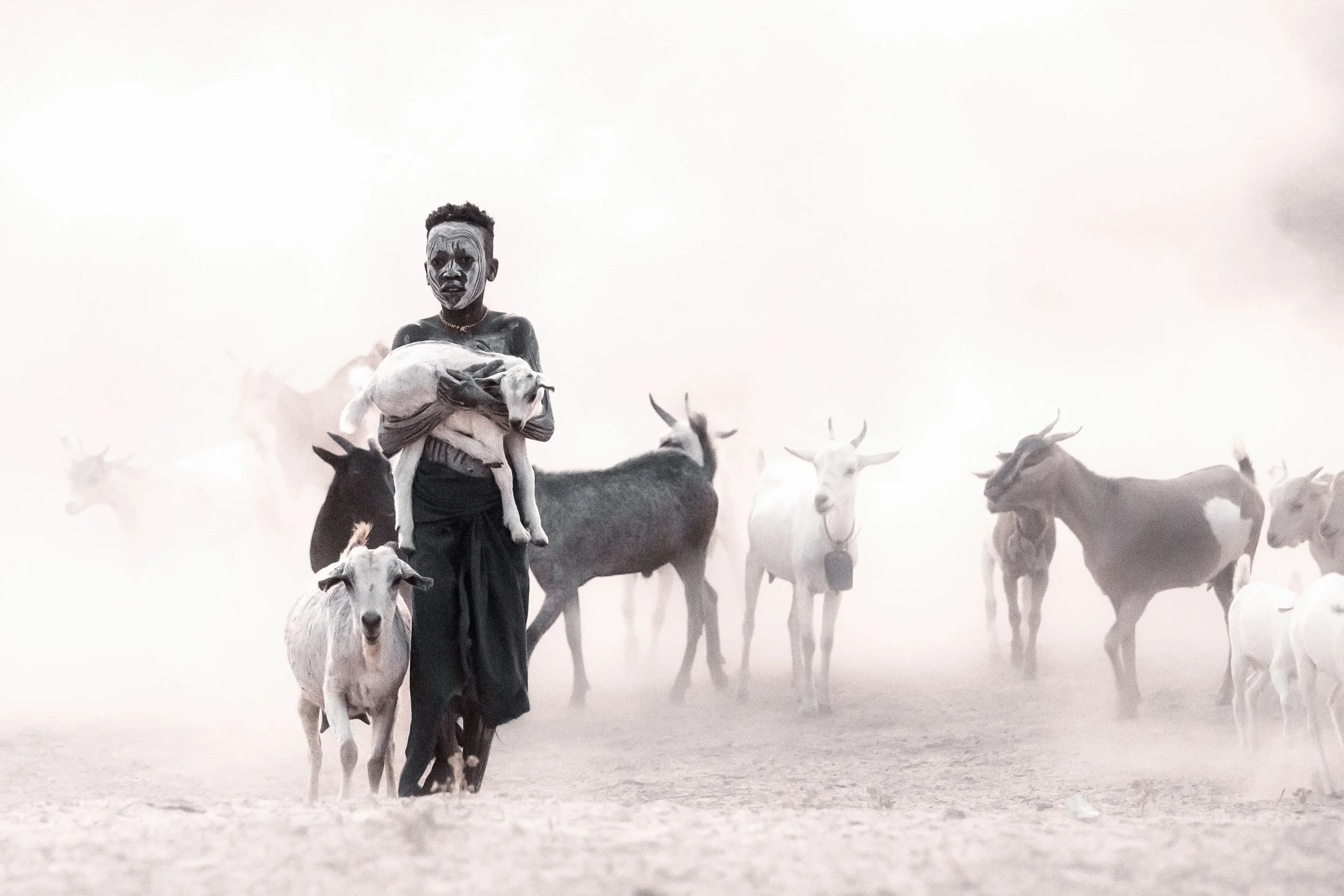 Karo boy carrying goat kis in dust, Ethiopia
