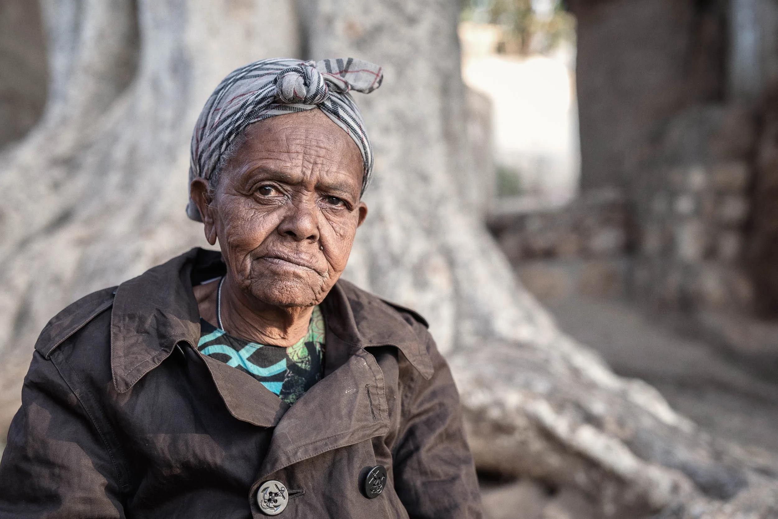 Old woman sitting beneath tree, Harar, Ethiopia