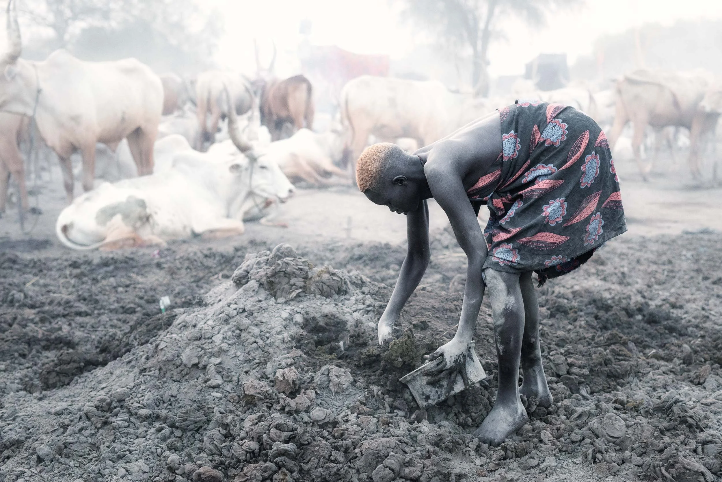 Mundari girl collecting dung for fire, South Sudan
