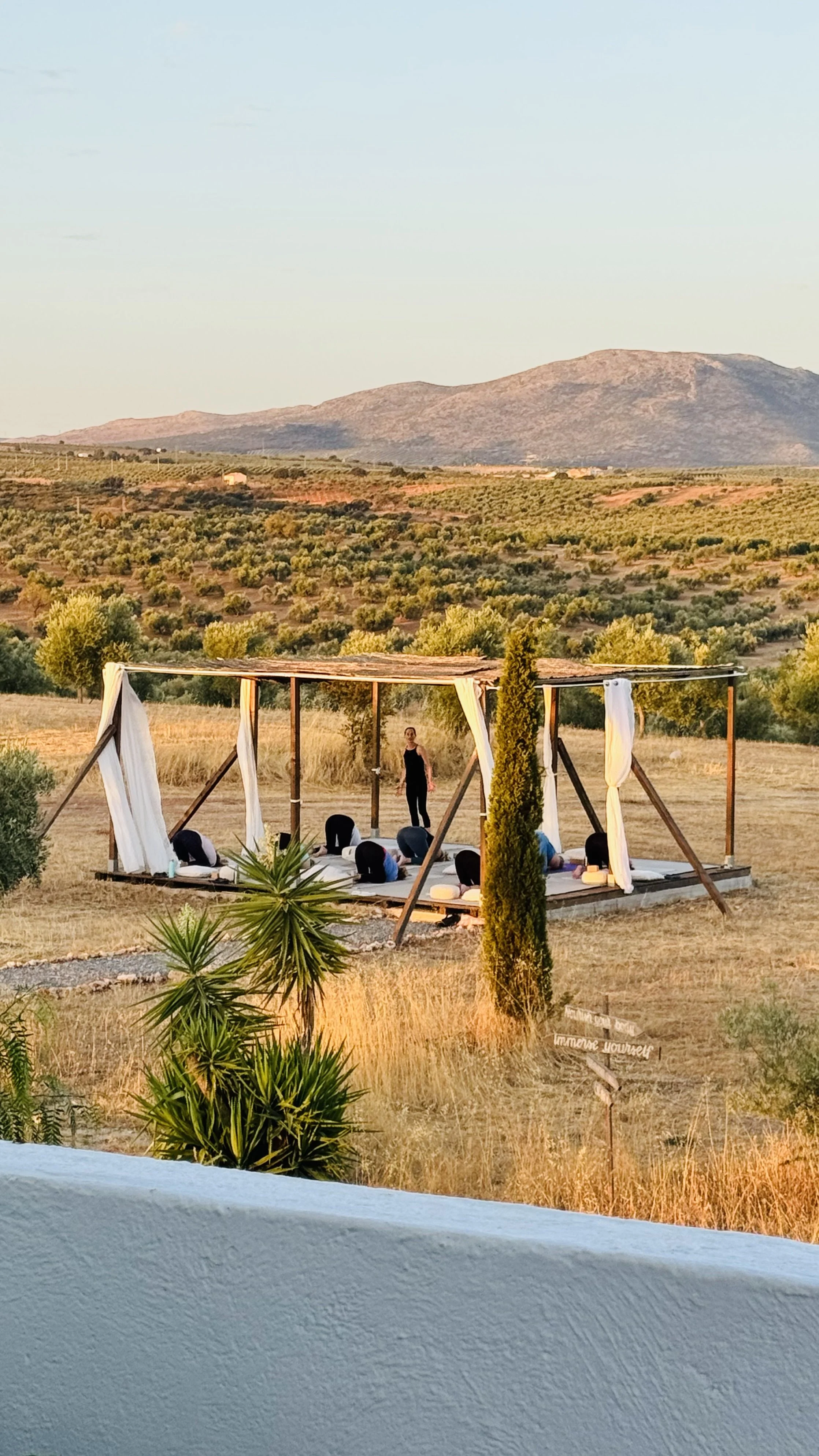A group of people practicing yoga outdoors on a wooden platform with white curtains, surrounded by a scenic landscape of trees, hills, and mountains at sunset.