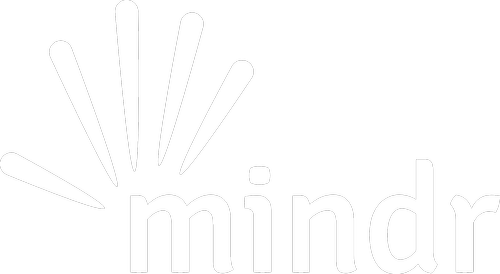 Support Plans | Boost Your Brain Health - Get Started Today — MINDR