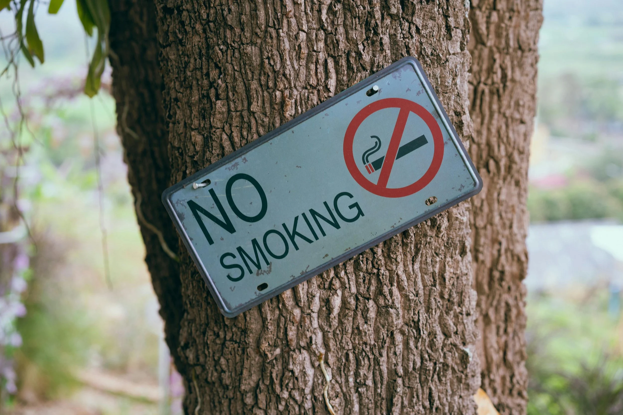 Stub Out the Risk: Smoking and Cognitive Decline