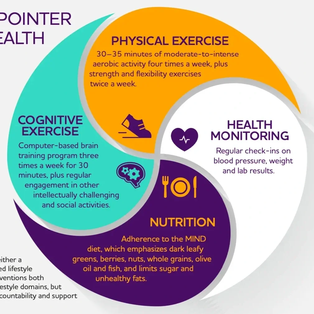 Diagram illustrating four pillars of health: Physical Exercise, Cognitive Exercise, Health Monitoring, and Nutrition. It describes exercise guidelines, mental training, regular health check-ins, and a healthy diet emphasizing dark leafy greens, berries, nuts, whole grains, olive oil, fish, and limiting sugar and fats.