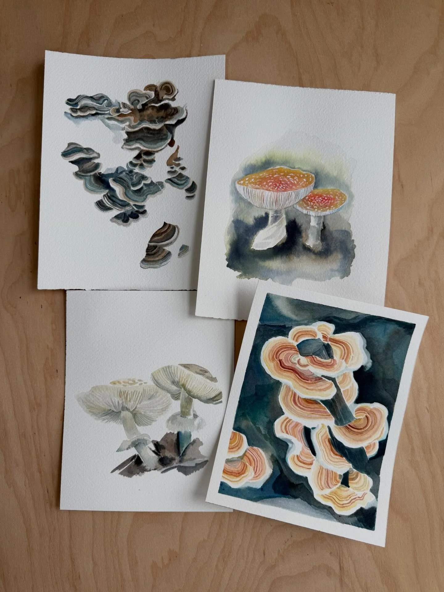 Many mushroom paintings. I took so many mushroom photos last fall and I&rsquo;m still obsessed with painting them. 🍄 🍄&zwj;🟫 🍄 #mushroomart #decomposer #whimsyillos