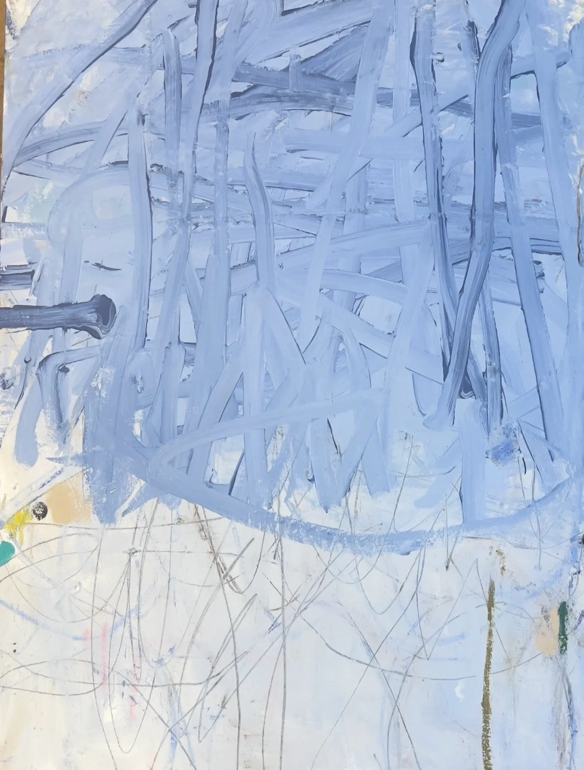 dog day afternoon no.48.jpeg