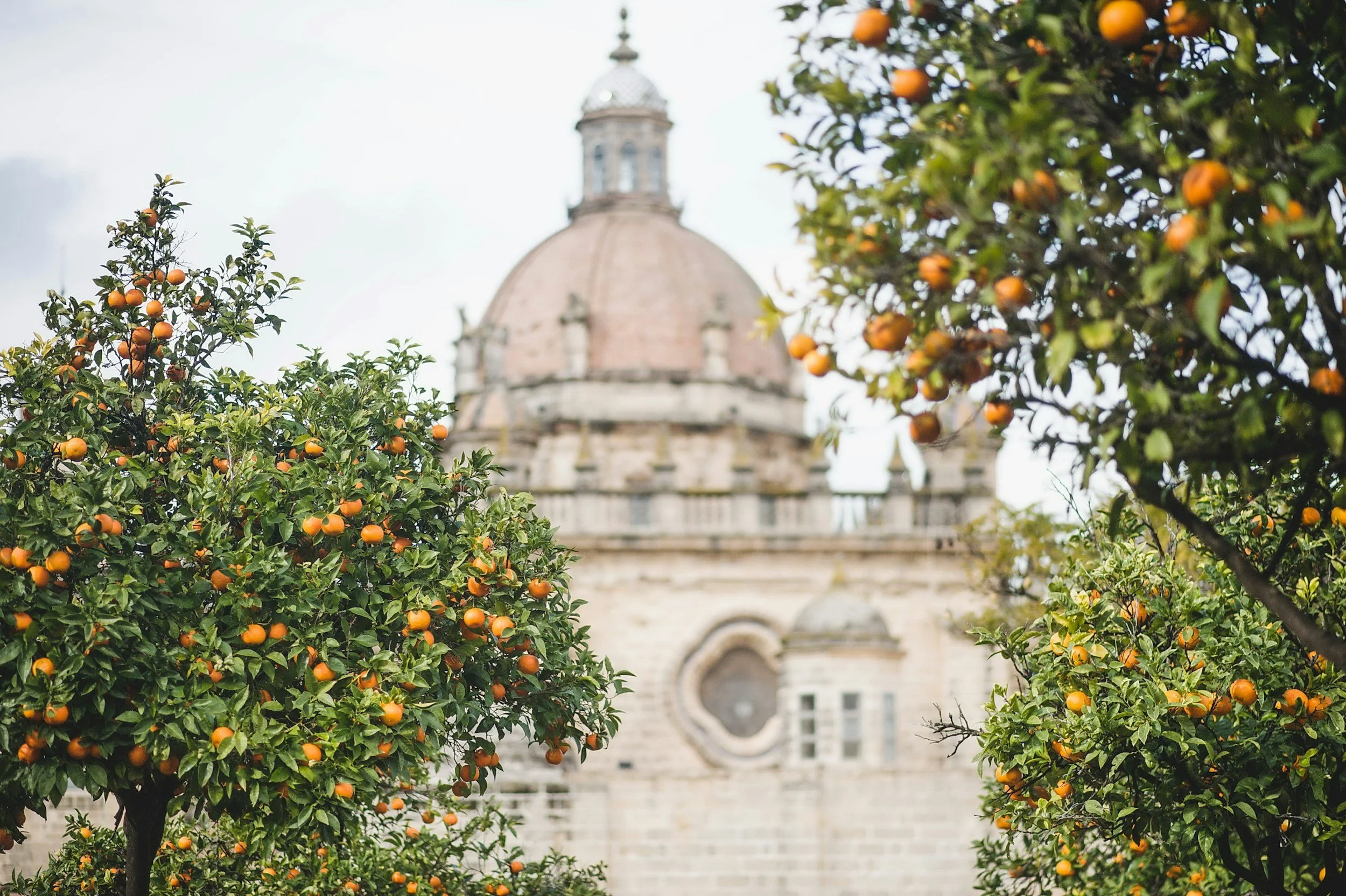 unsplash-image-eRge5gO28F4.jpg