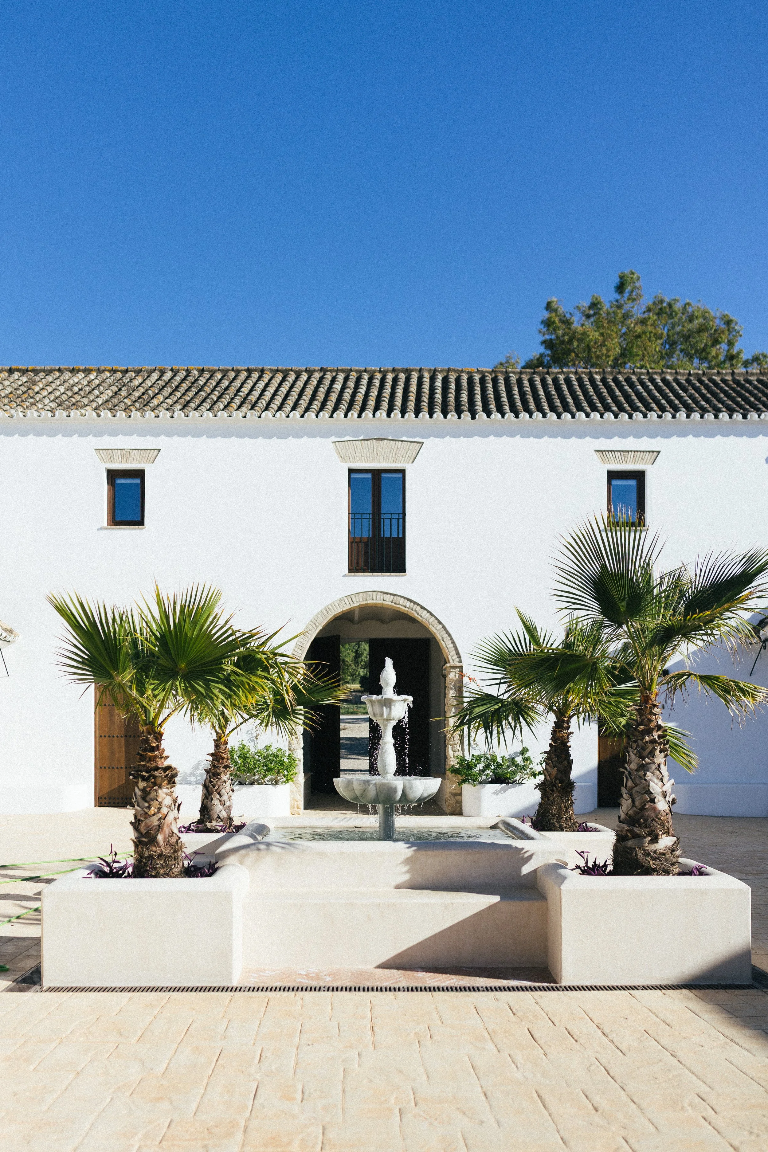 Retreat Venue Cádiz - Yoga - Horse Riding (9).jpg