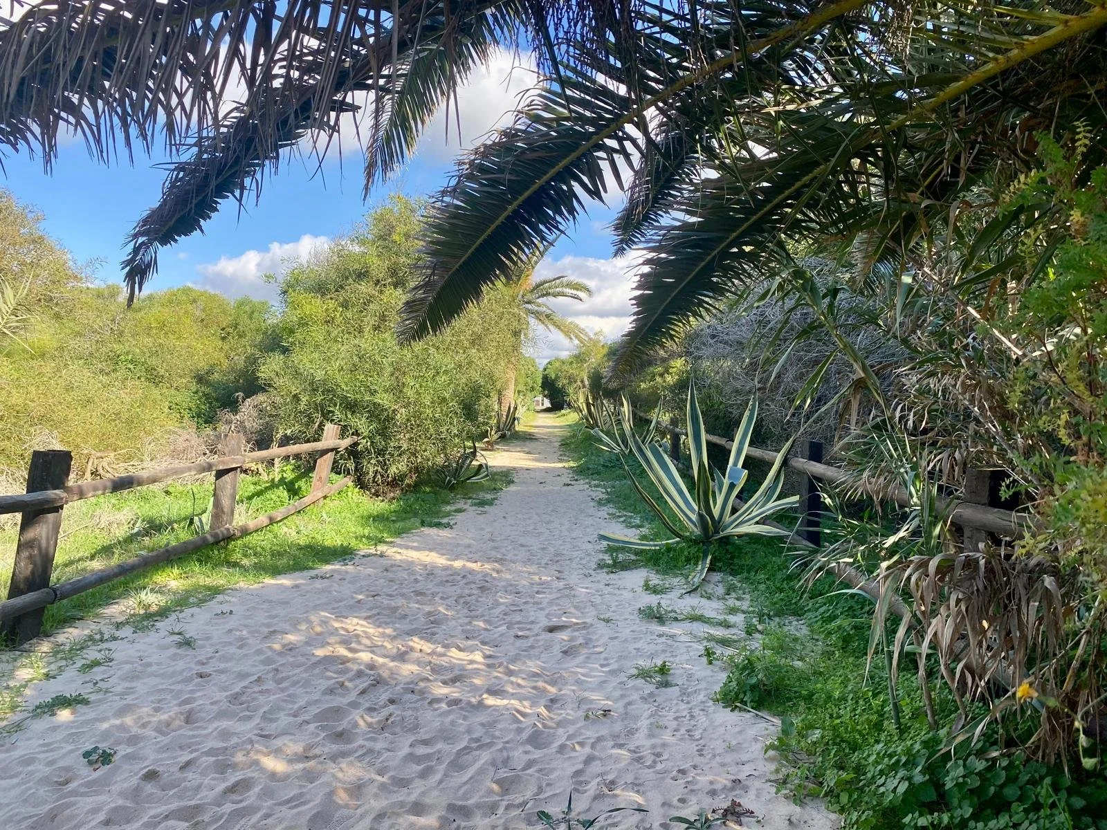 Nature - Divinity Caños de Meca, Spain (4).jpeg