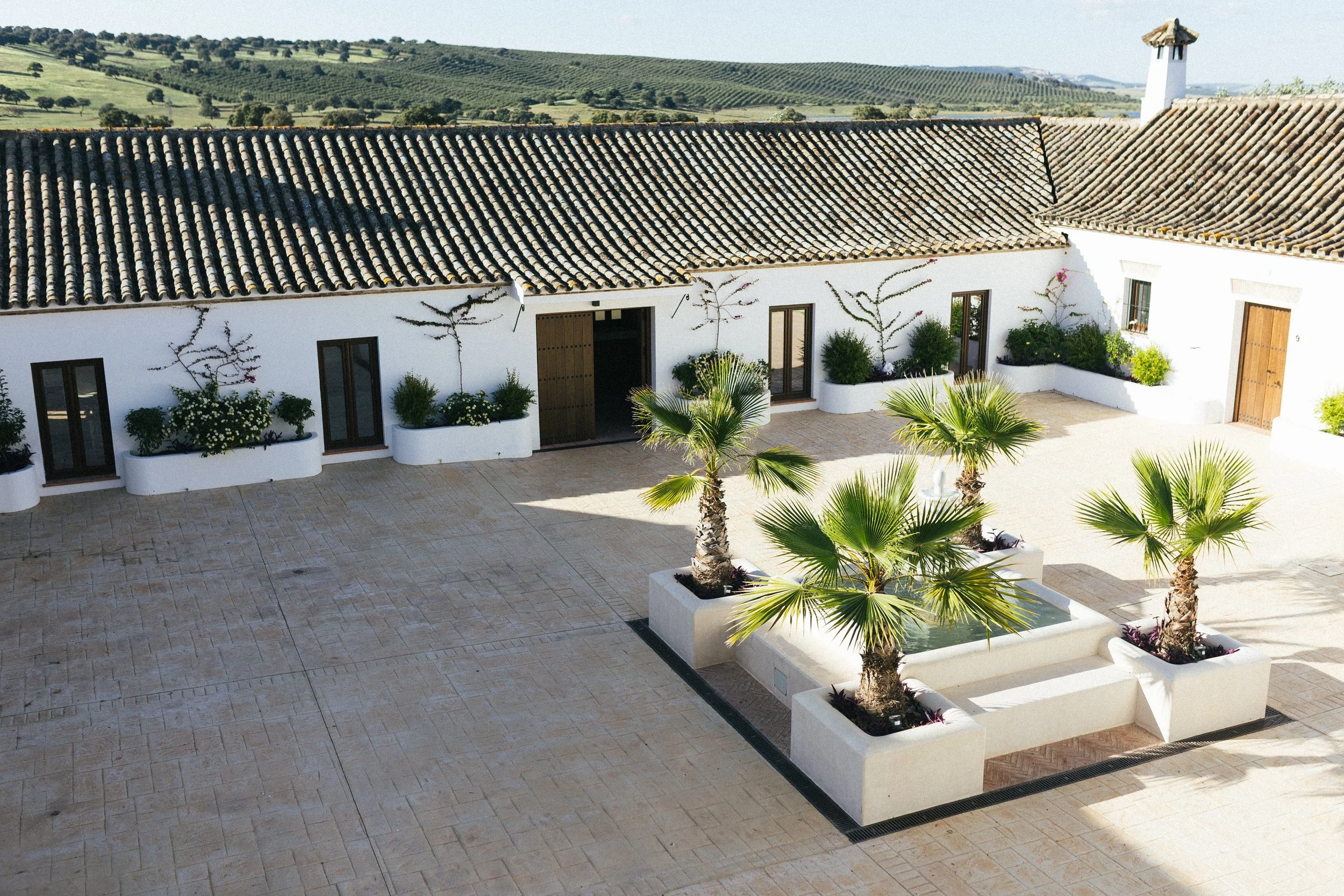 Retreat Venue Cádiz - Yoga - Horse Riding (8).jpg