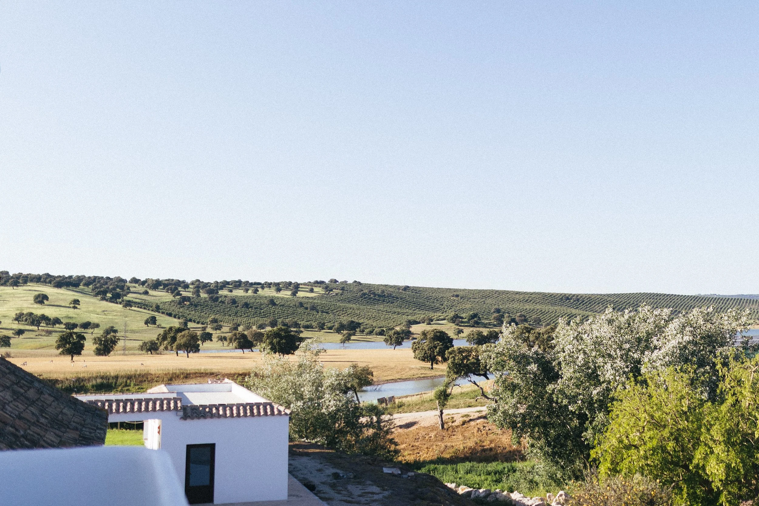 Wedding venue Andalusia Spain (2).jpg
